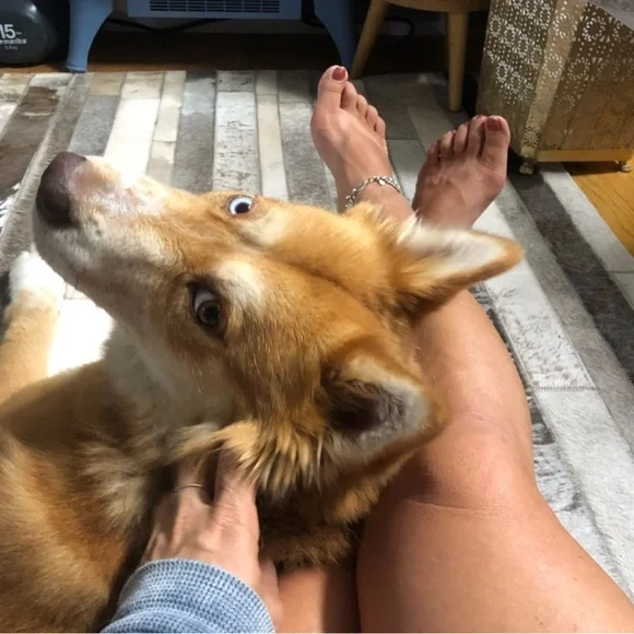 Welcome to my Closet! - Picture 3 of 3